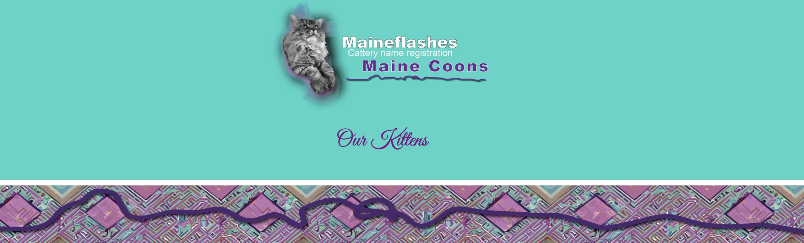 MaineFlashes Maine Coon kittens, maine coon kittens for sale, Texas maine coon kttens for sale