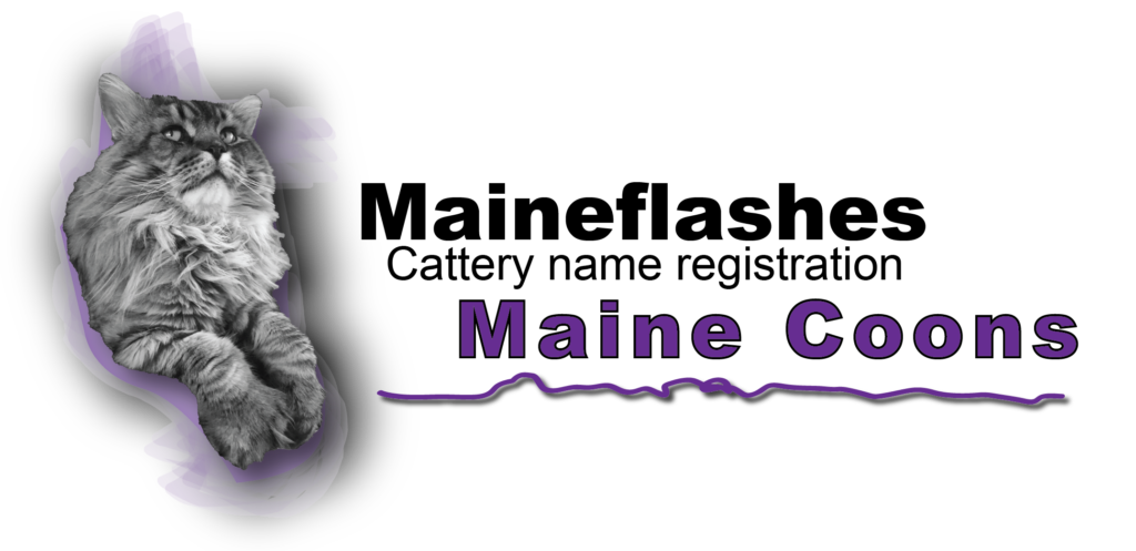 Maineflashes Maine Coons Logo